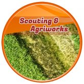 scouting and agriworks drone business solution
